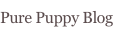 shapeimage_25_link_2